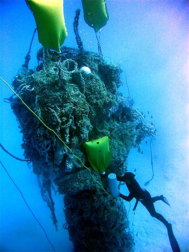 Een NOAA-onderzoeker verwijdert achtergelaten vistuig van een rif · sfeerbeeld