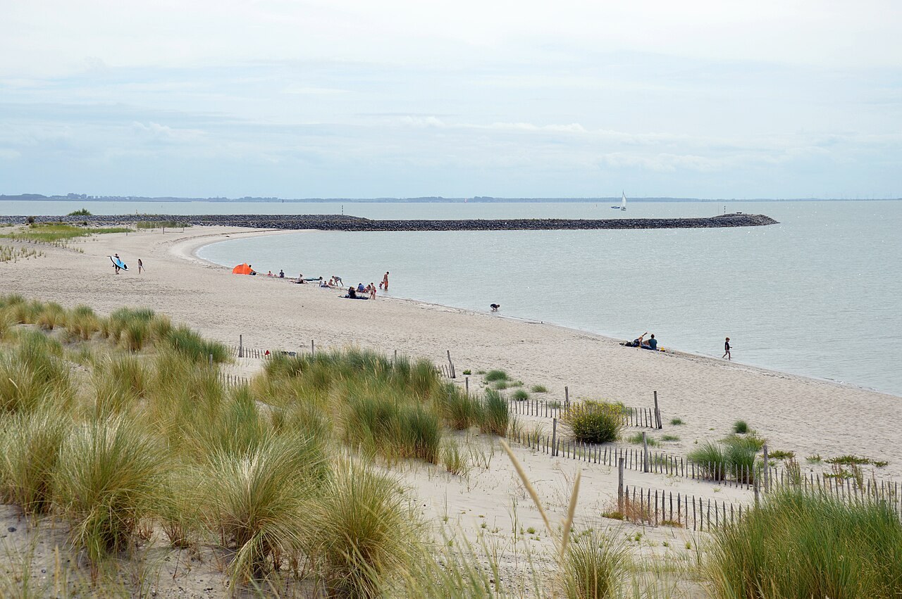 Natuur op Marker Wadden